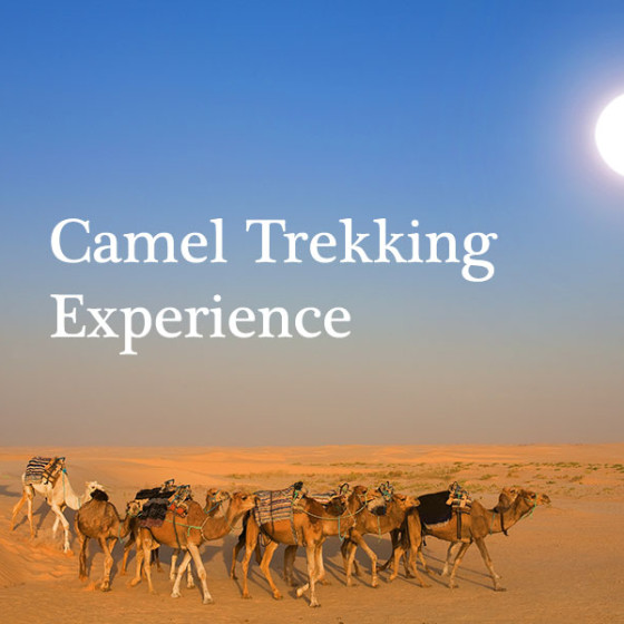 Camel Trekking Experience