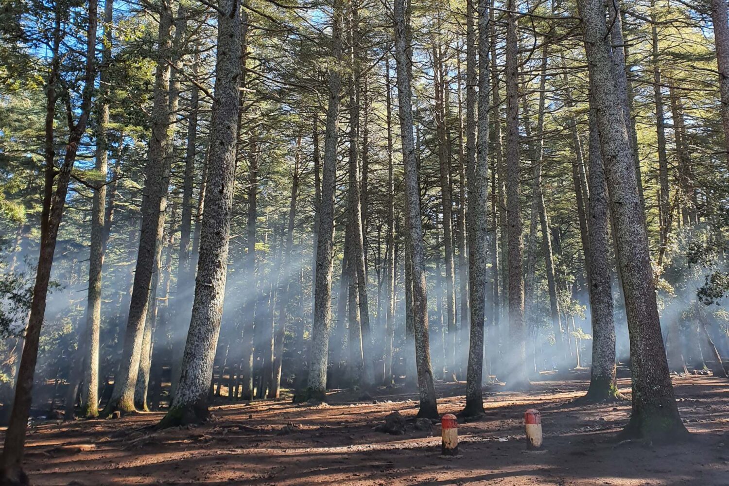 3 Days Camel Trekking