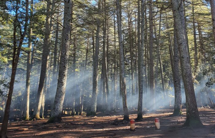 3 Days Camel Trekking