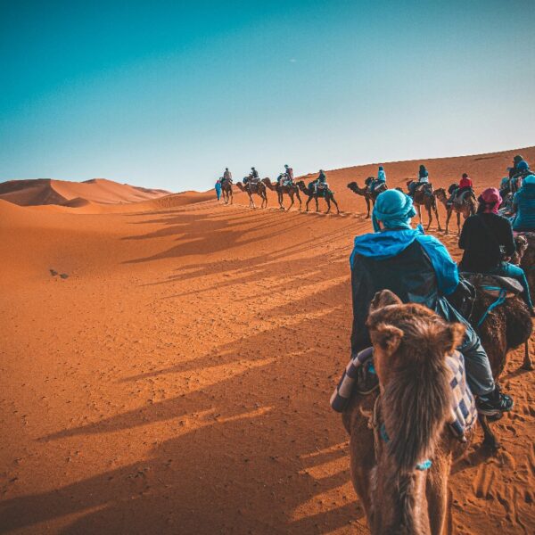 3 Days Camel Trekking