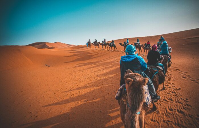 3 Days Camel Trekking