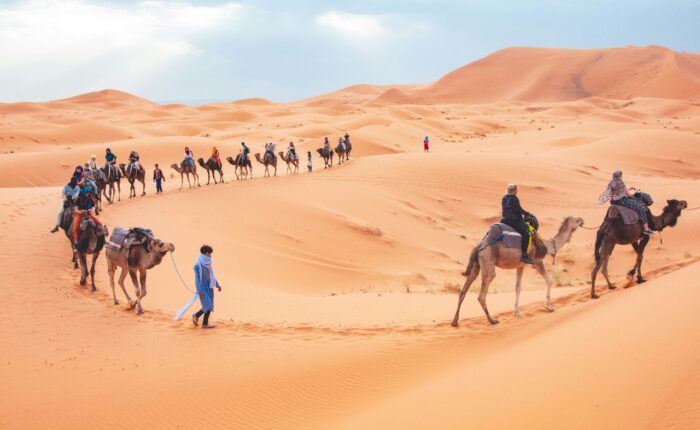 3 Days Camel Trekking