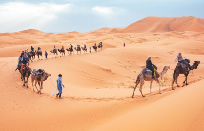 3 Days Camel Trekking