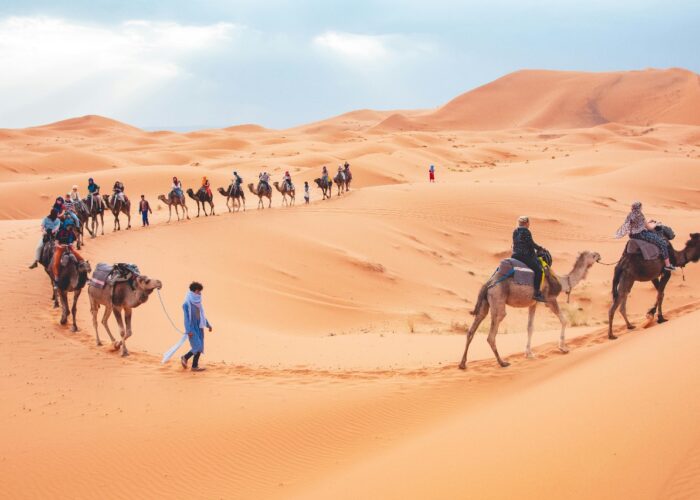 3 Days Camel Trekking