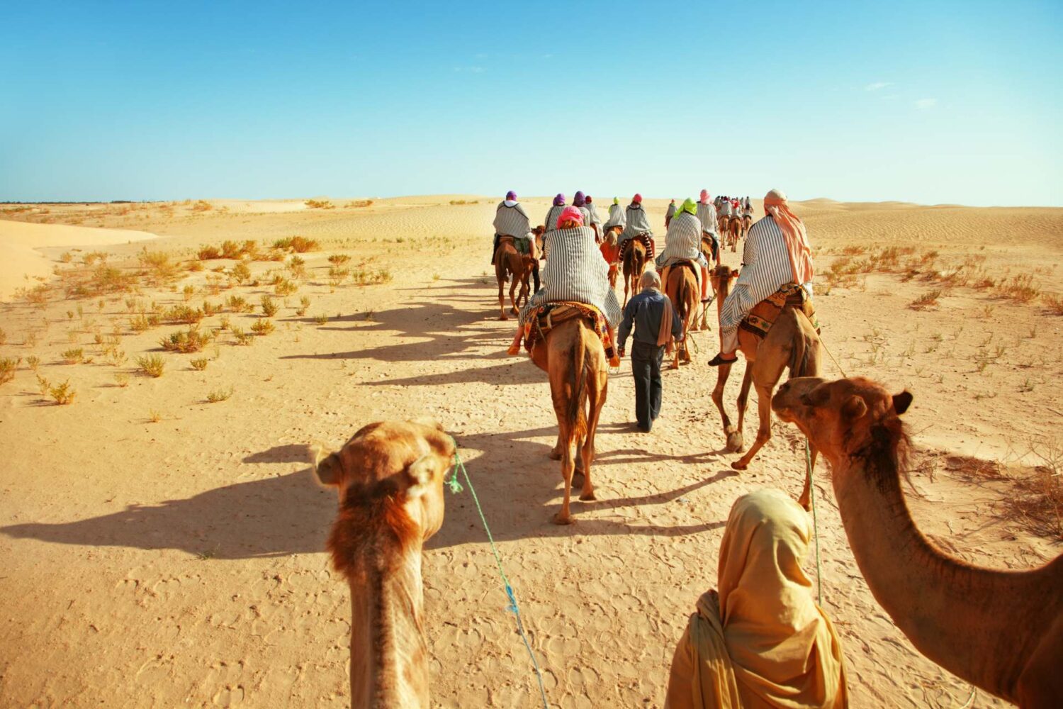 3 days camel trekking marrakech to erg chebbi