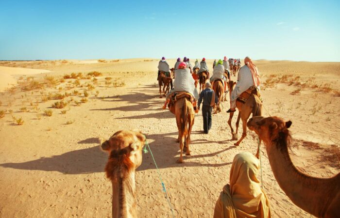 3 days camel trekking marrakech to erg chebbi