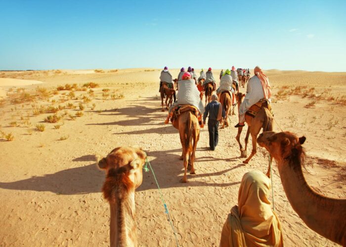 3 days camel trekking marrakech to erg chebbi