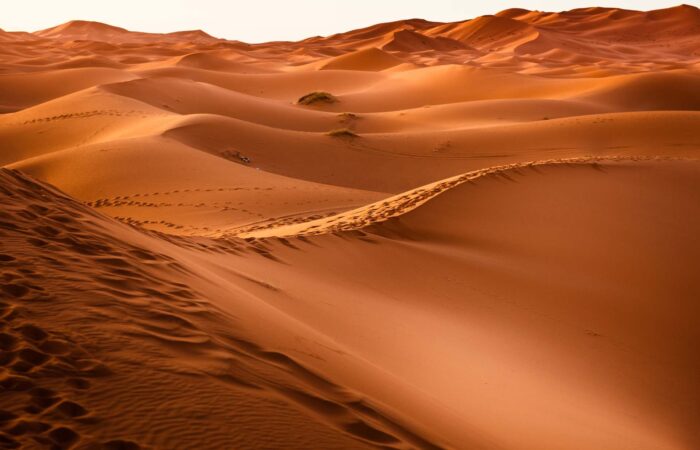 4 Days Camel Trekking to Erg Chebbi