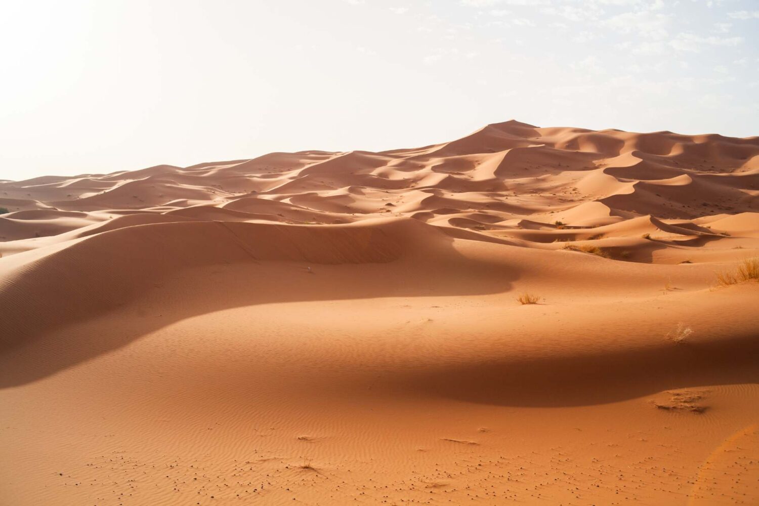 4 Days Camel Trekking to Erg Chebbi