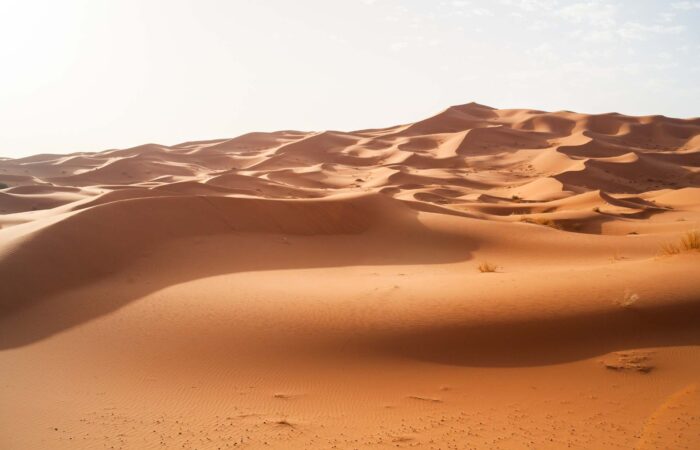 4 Days Camel Trekking to Erg Chebbi