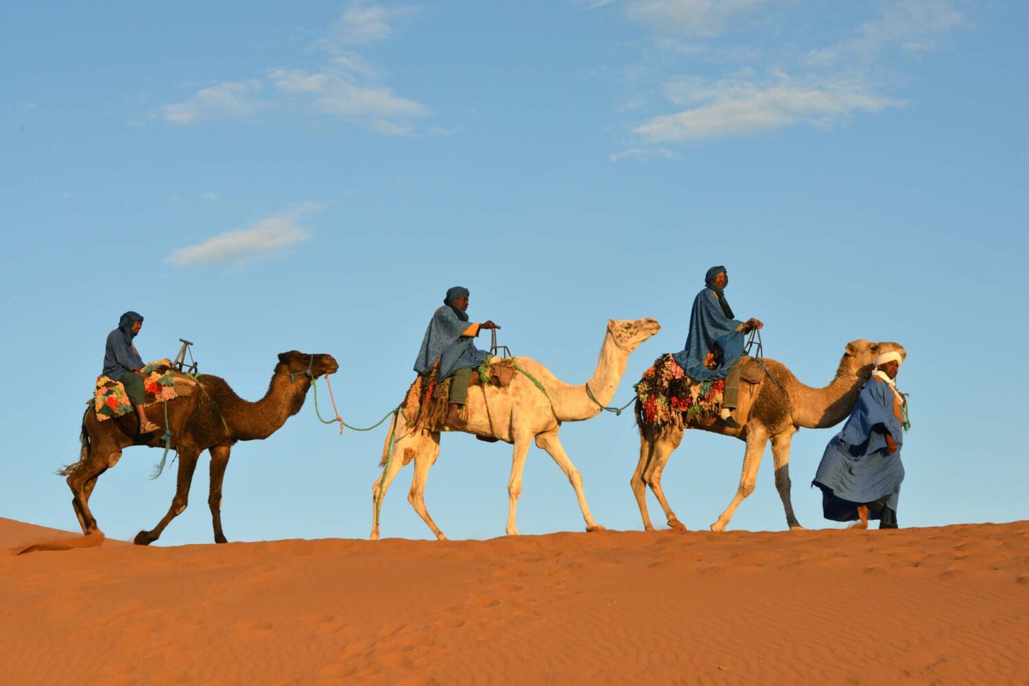 4 Days Camel Trekking to Erg Chebbi