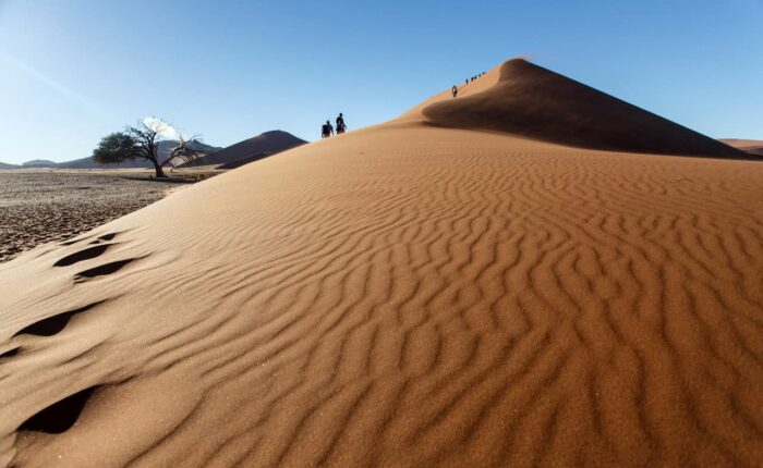 7 Days Tour From Fes