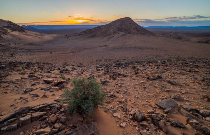 7 Days Tour From Fes