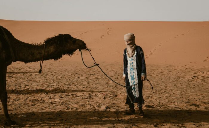 9 days tour from casablanca