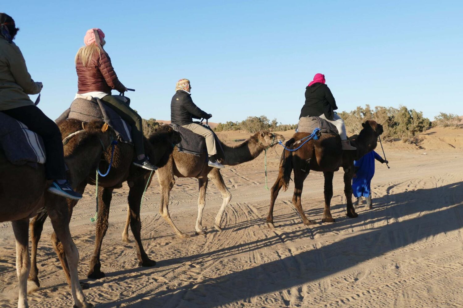 Camel Trekking from Marrakech