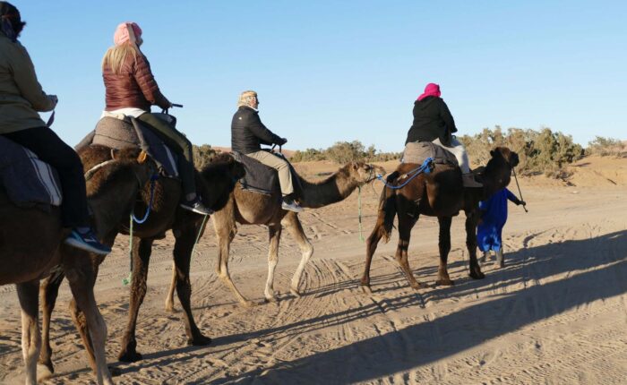 Camel Trekking from Marrakech