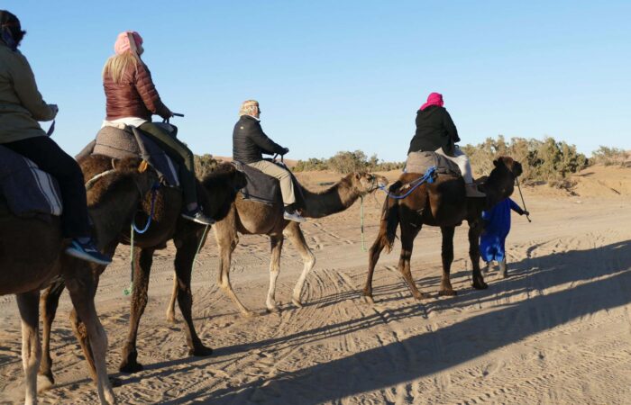 Camel Trekking from Marrakech