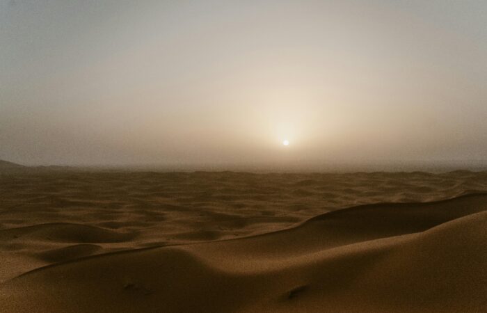 Camel Trekking from Marrakech