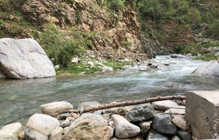 Ourika Valley Tour