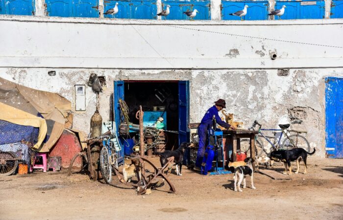 trip from Marrakech to Essaouira
